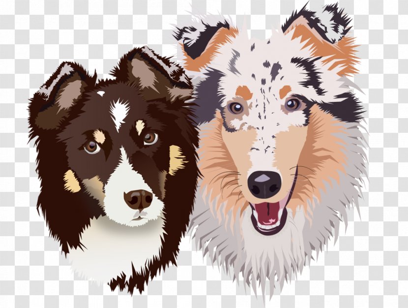 Dog Breed Group (dog) Snout Agility - Wish Transparent PNG