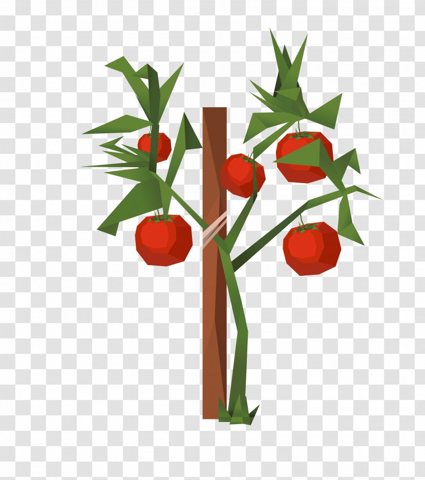 Tomato Clip Art - Cherry - Vector Color Abstract Apple Tree Transparent PNG