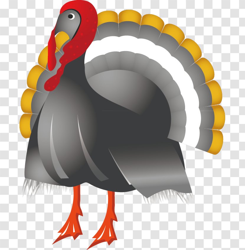 Thanksgiving Symbol Clip Art - Wing - Peacock Decoration Design Vector Transparent PNG