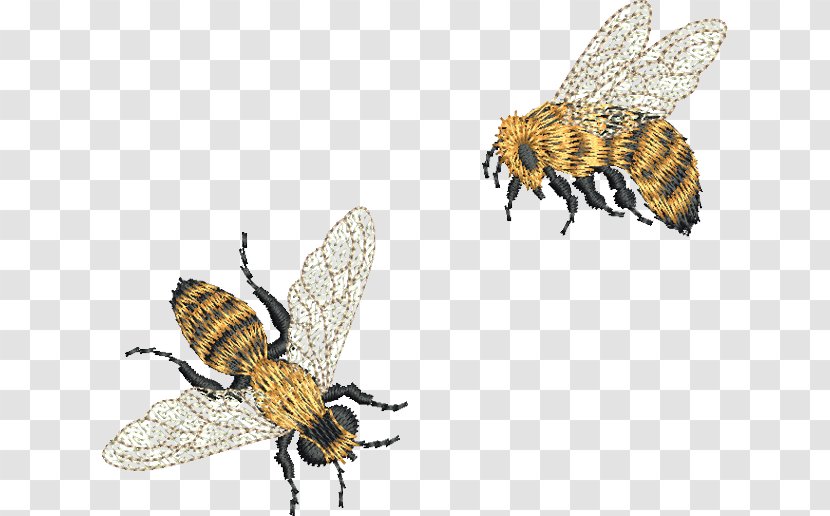 Bee Machine Embroidery Embroider Now Pattern - Embroiderer Transparent PNG