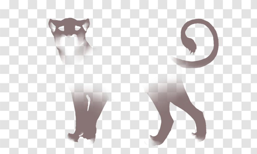Whiskers Lion Felidae Marozi Siamese Cat Transparent PNG