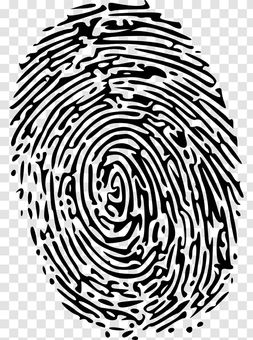 Fingerprint Green Clip Art - Point Transparent PNG