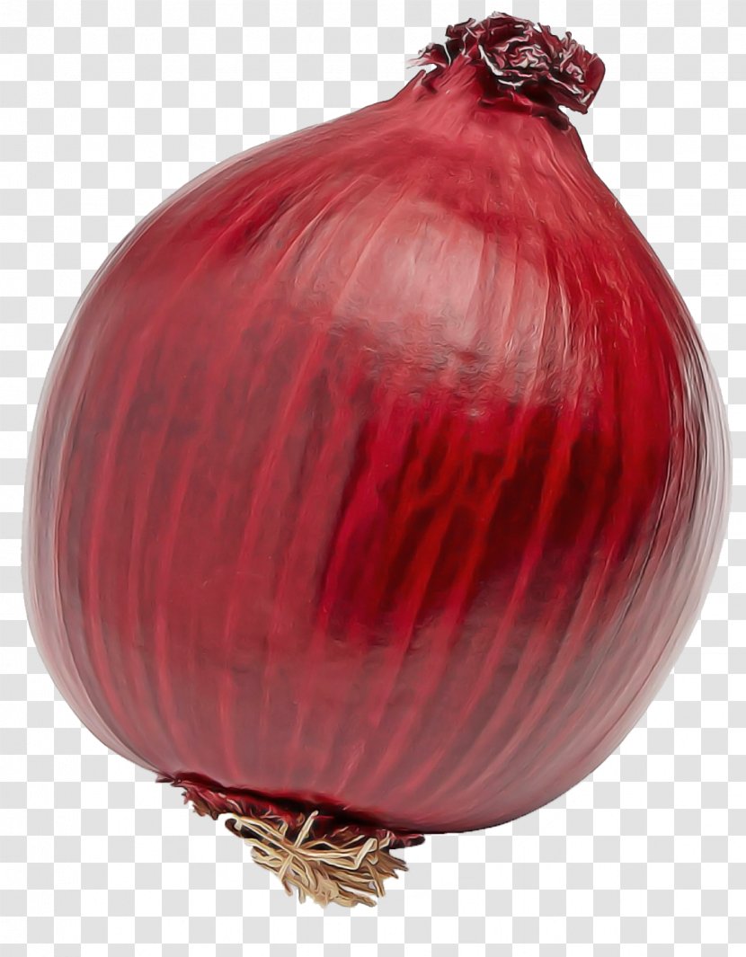Red Onion Yellow Vegetable - Shallot - Amaryllis Family Food Transparent PNG