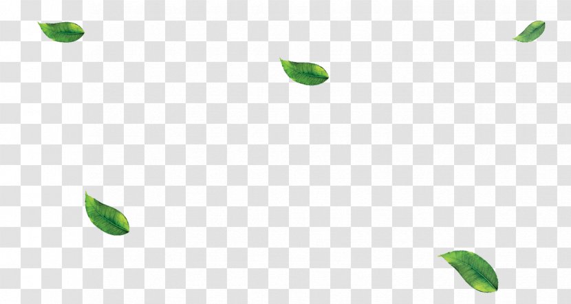 Leaf Plant Stem Desktop Wallpaper - Green Leaves Transparent PNG