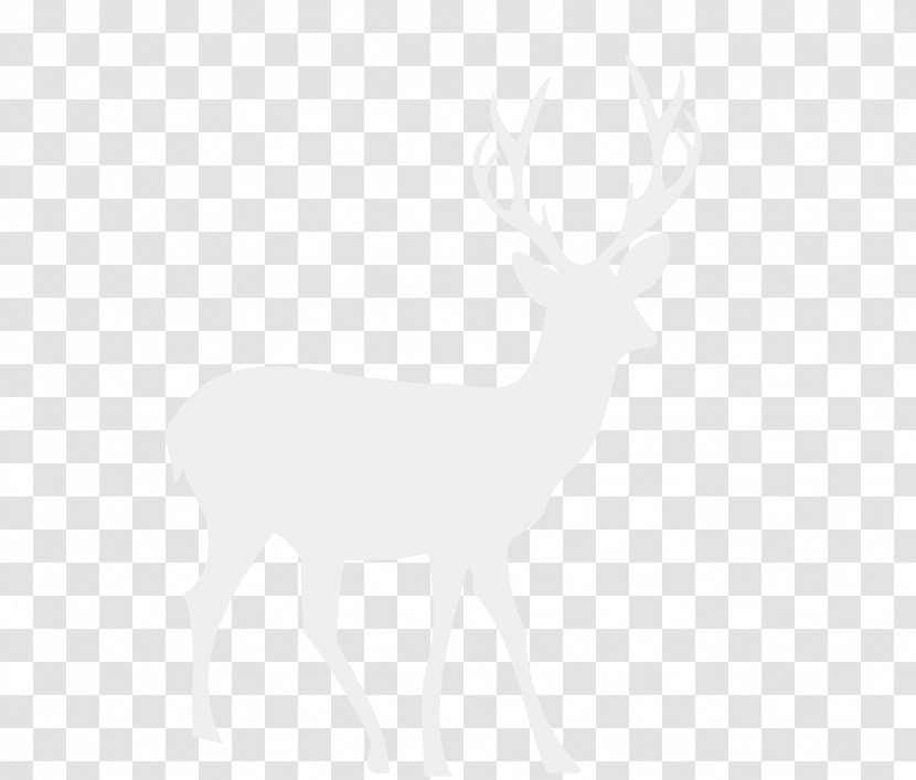 Reindeer Cartoon White-tailed Deer Black And White - Tailed - Element Transparent PNG