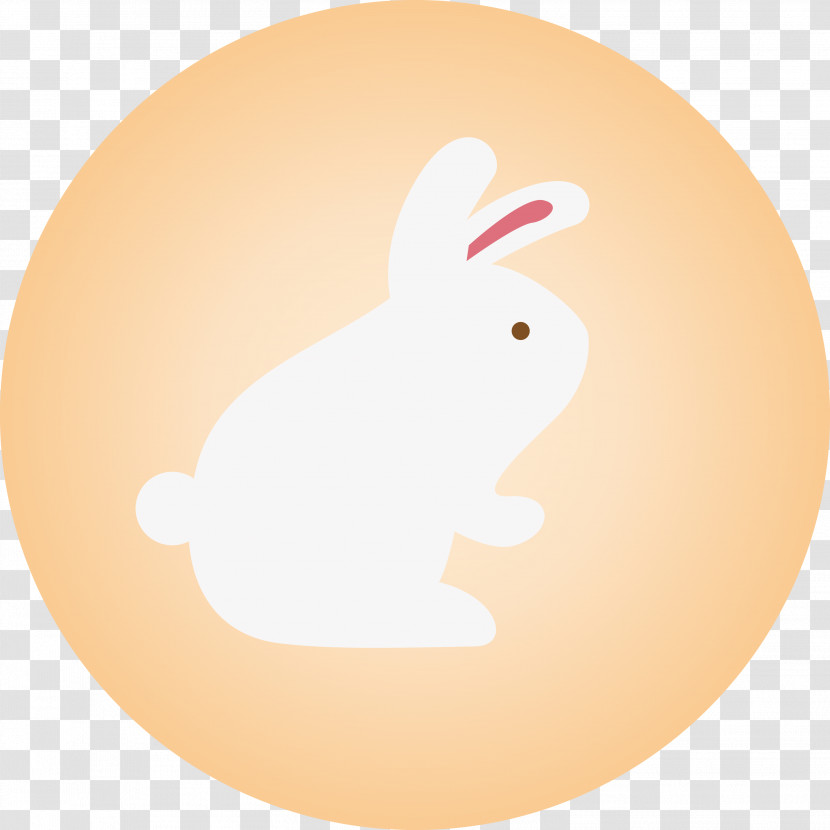 Rabbit Transparent PNG