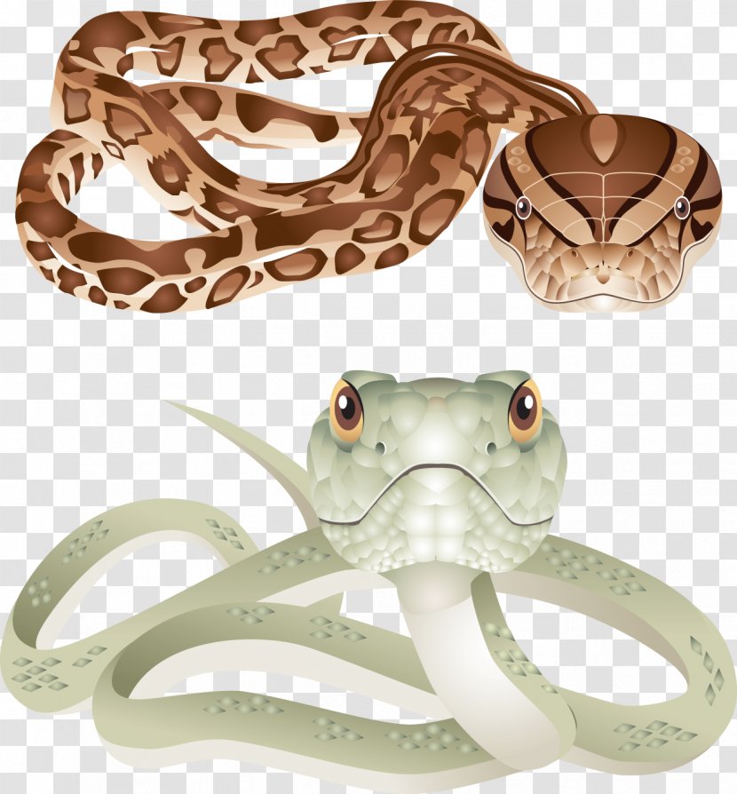 Rattlesnake Clip Art - Snake Transparent PNG