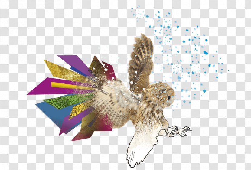 Eagle Owl Insect Pollinator Beak Transparent PNG