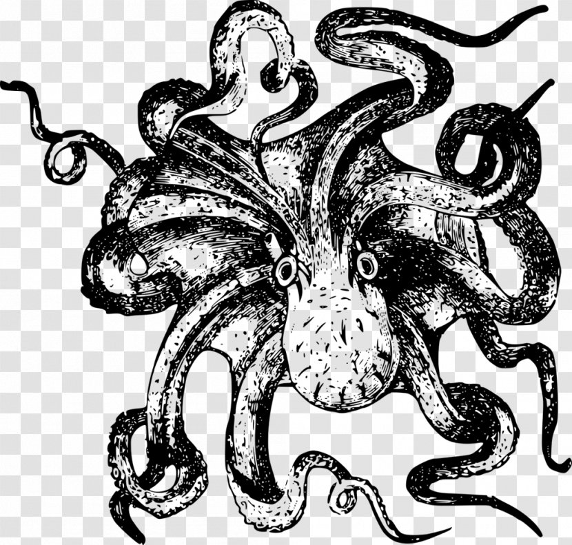 Octopus Drawing Clip Art - Monochrome Transparent PNG