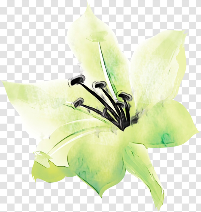 Artificial Flower Transparent PNG