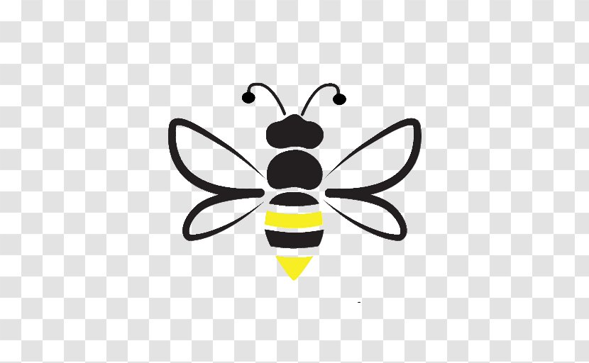 Beehive Honey Bee Colony Collapse Disorder Pollination - Insect - Beads Transparent PNG