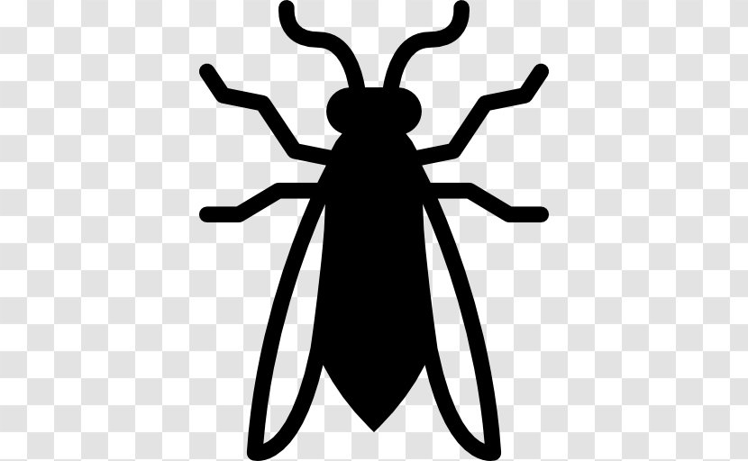 Insect Clip Art - Cockroach Transparent PNG