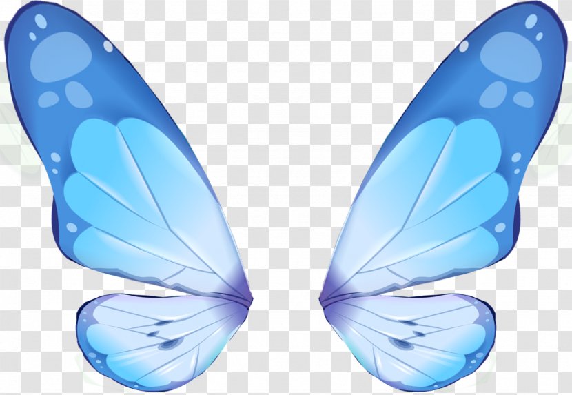 Digital Image Clip Art - Wing - Moths And Butterflies Transparent PNG