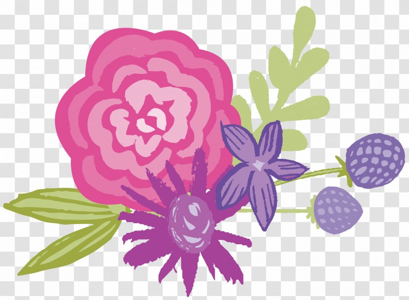 Floral Design Illustration Rose Family - Pink M - Blossom Transparent PNG