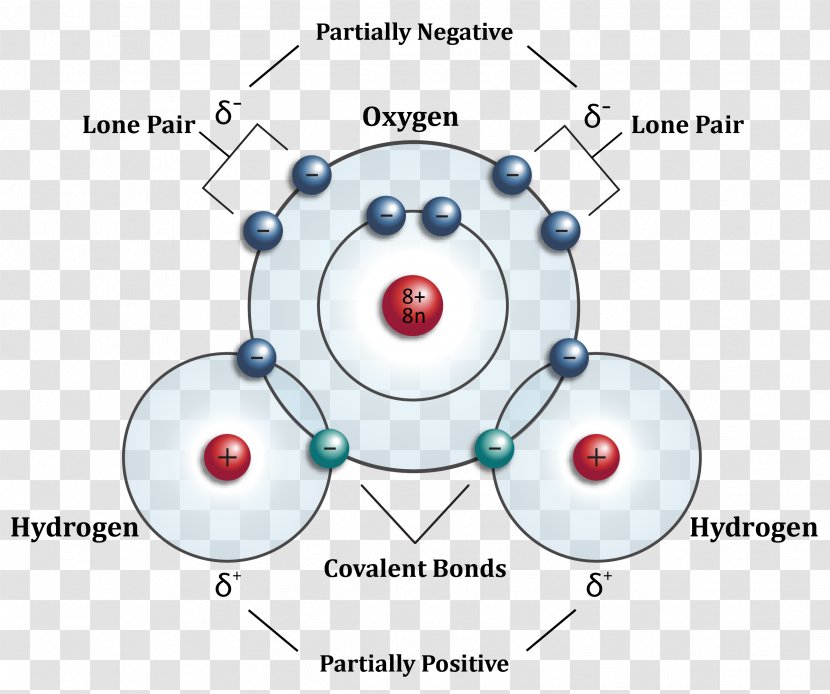 Hydrogen Atom Water Molecule Molecular Orbital Diagram - Covalent Bond Transparent PNG