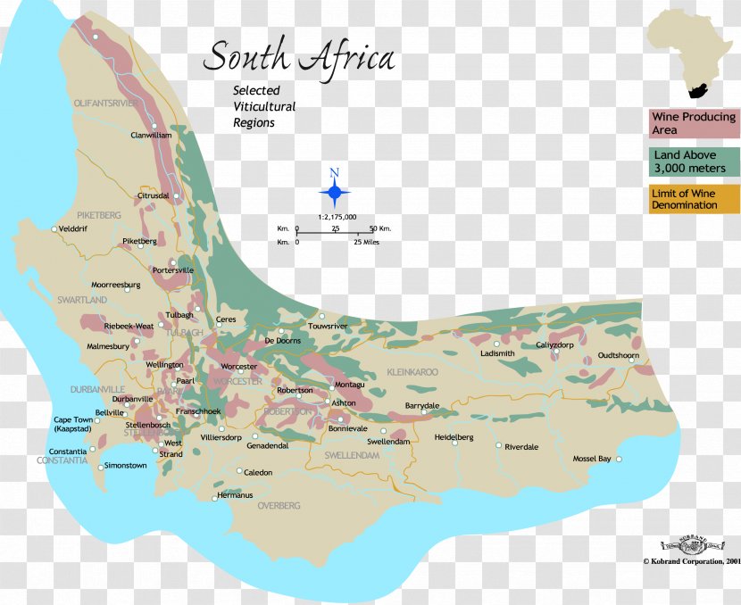 South African Wine White Map - Ecoregion - Africa Transparent PNG