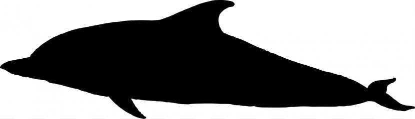 Dolphin Porpoise Black And White Fauna - Beak - Elk Head Silhouette Transparent PNG