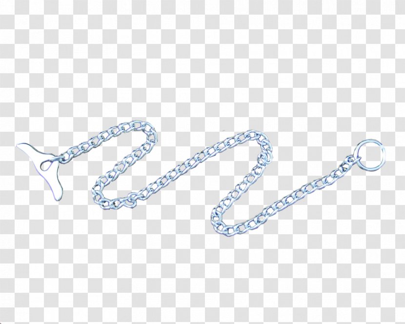 Dog Collar Chain Leash Transparent PNG