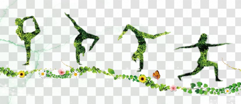 Poster Illustration - Green - Fitness Transparent PNG