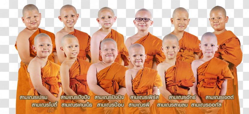 Samanera Dharma Prajñā Thailand Buddhist Temple - Trunk - Little Monk Transparent PNG