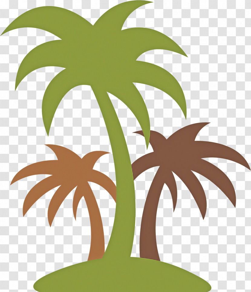 Palm Tree Transparent PNG