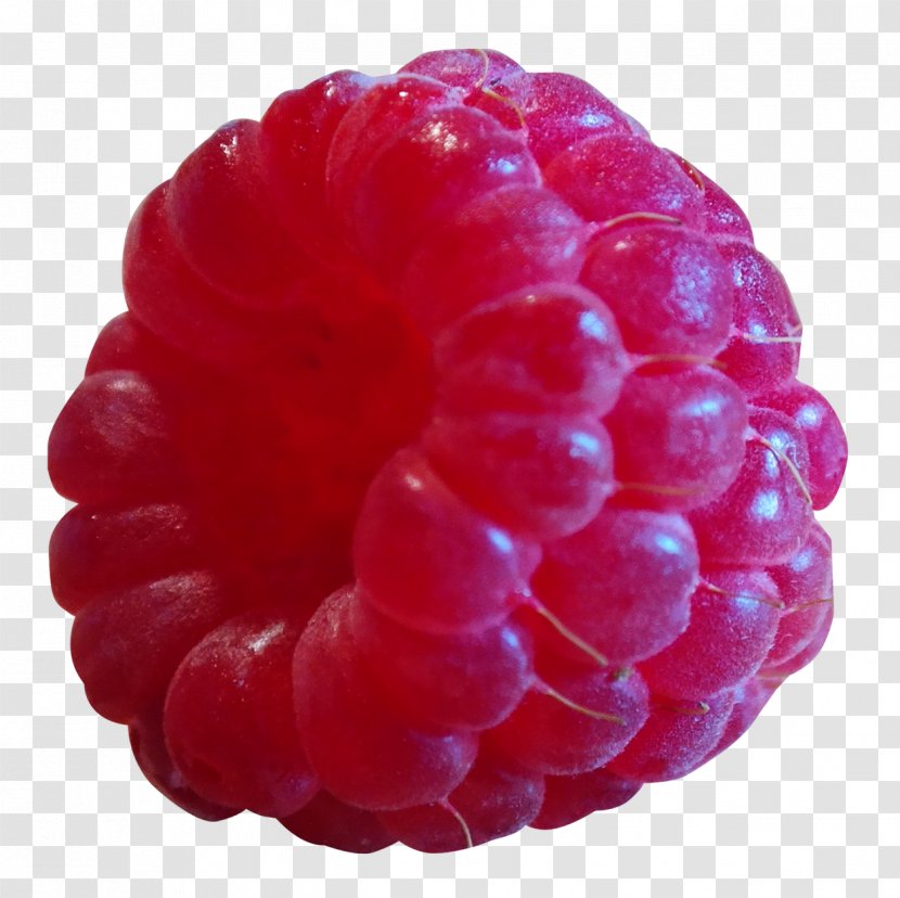 Raspberry Frutti Di Bosco - Boysenberry Transparent PNG