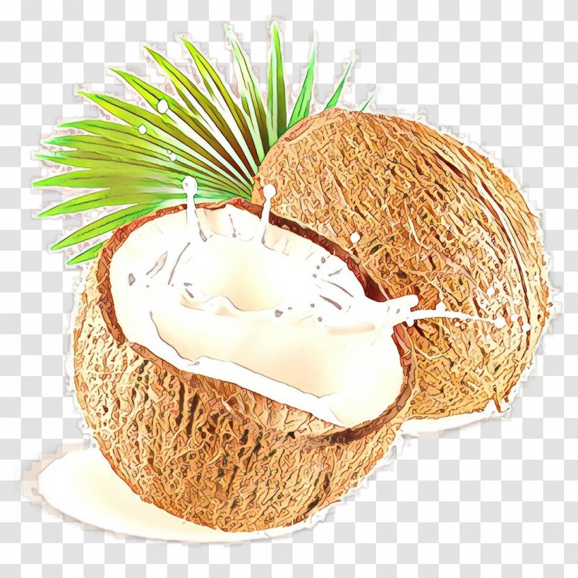 Coconut - Cartoon - Food Water Transparent PNG