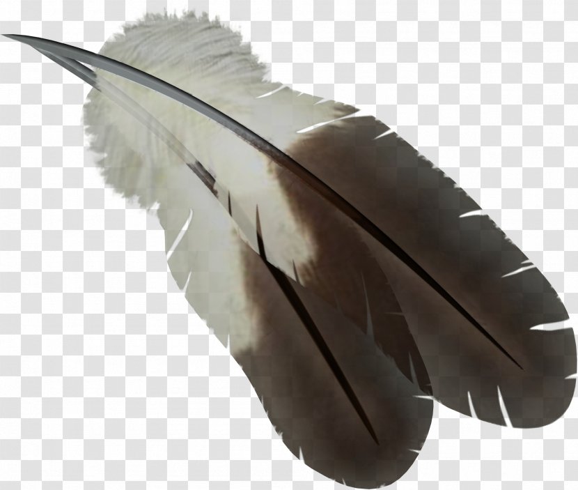 Feather Computer File Transparent PNG