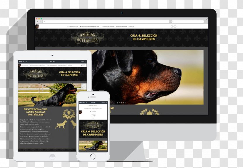 Dog Italian Cuisine Restaurant Front-end Web Development - Multimedia - Mock Up Transparent PNG