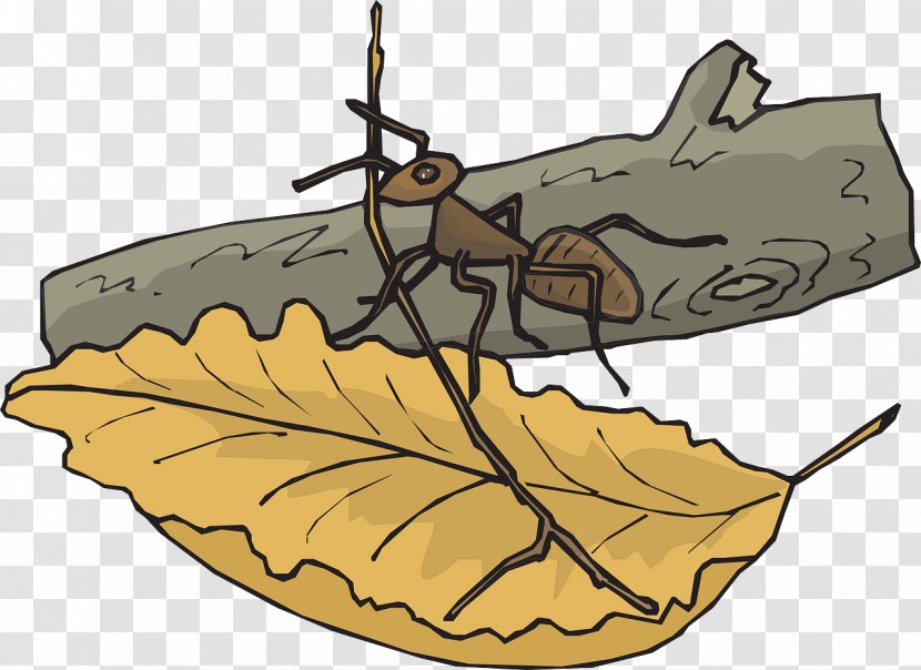 The Ants Insect Leaf Clip Art - Scalable Vector Graphics - On Leaves Transparent PNG