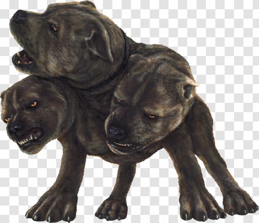 Harry Potter And The Philosopher's Stone Rubeus Hagrid Dog Cerberus - Fluffy Transparent PNG