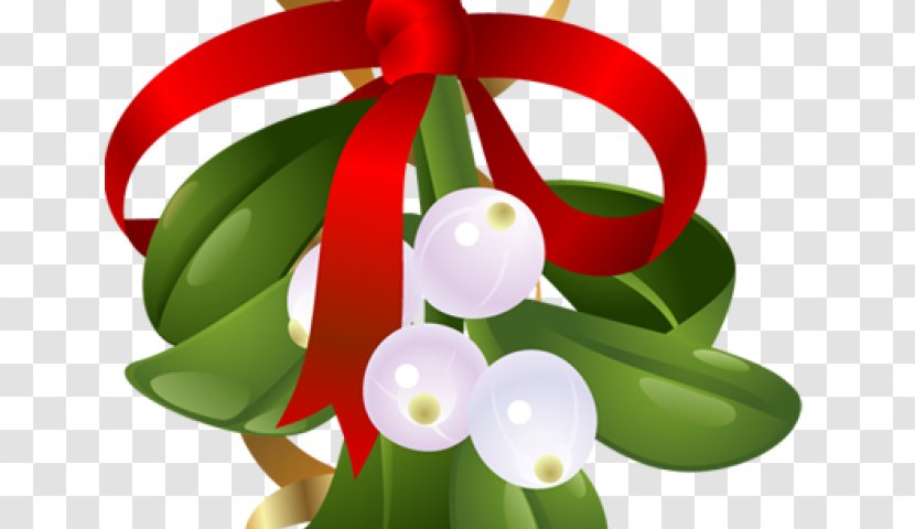 Mistletoe Clip Art Christmas Day Decoration - Plant - Bigfoot kit Transparent PNG