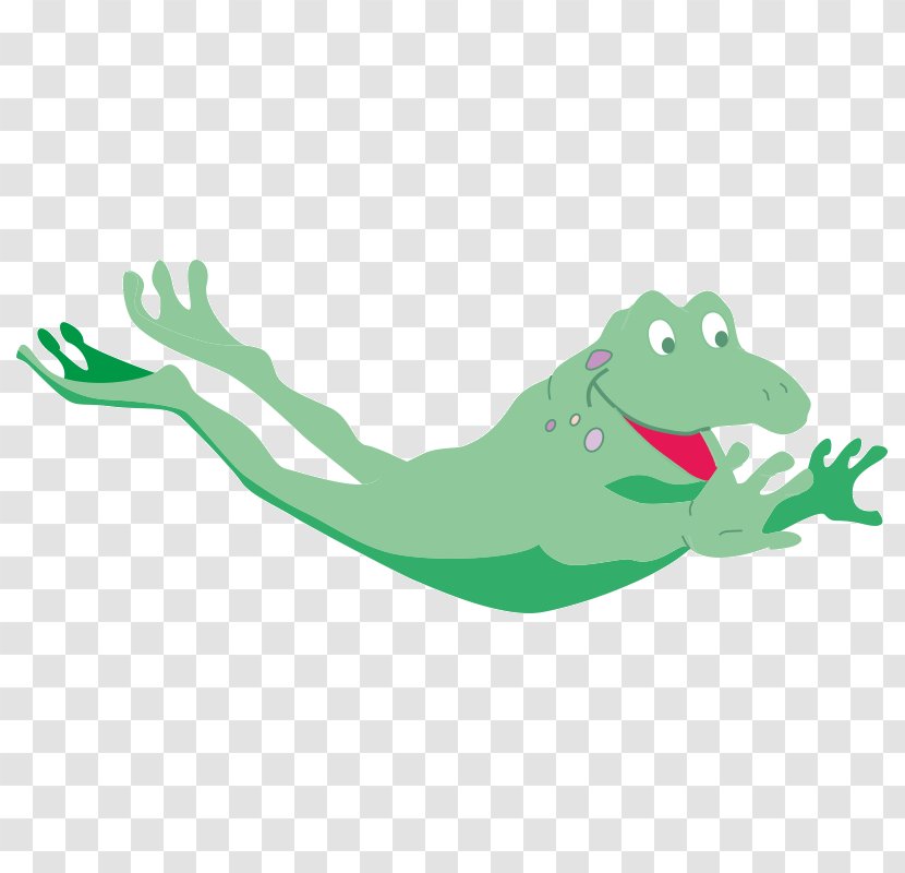 Frog Cartoon - Green - Tree Reptile Transparent PNG
