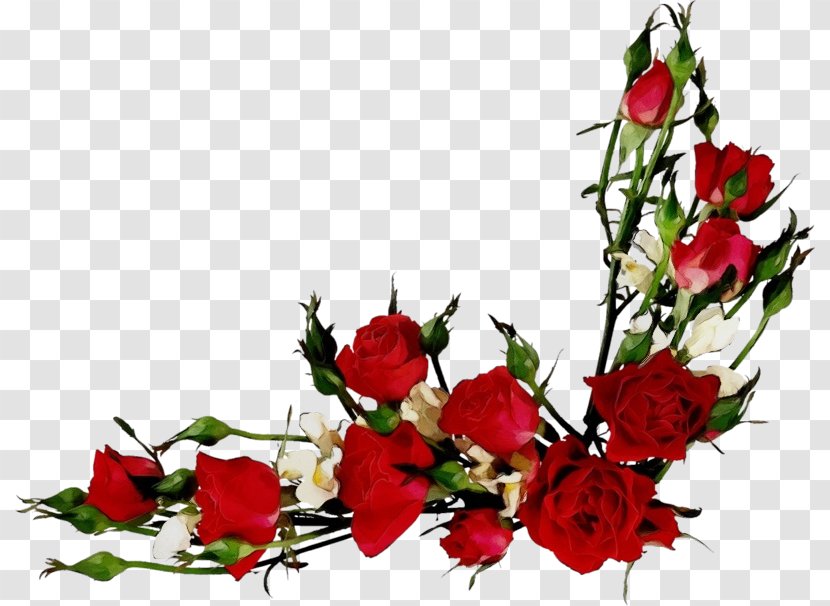 Watercolor Flowers - Flower Bouquet - Rosa Wichuraiana Rose Order Transparent PNG