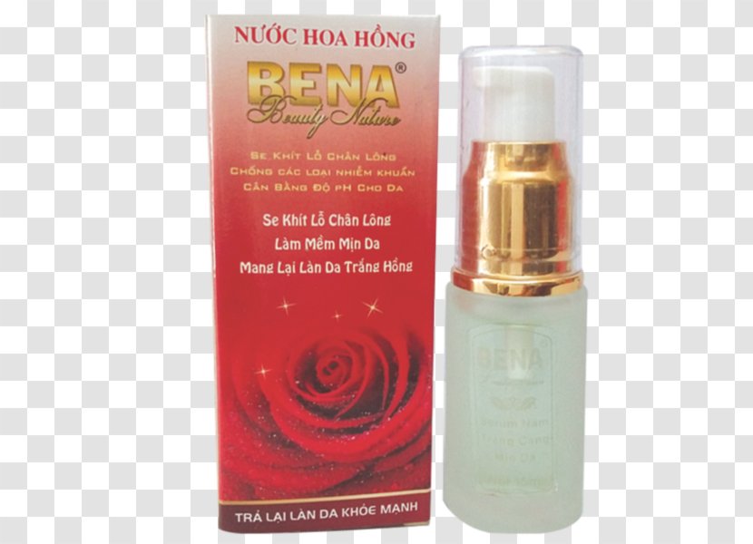 Perfume Cosmetics Skin Cleanser Rose Water - Bacteria - Hoa Hồng Transparent PNG
