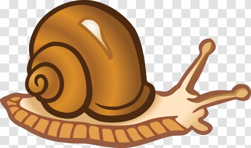 Snail Clip Art - Blog - Snails Transparent PNG