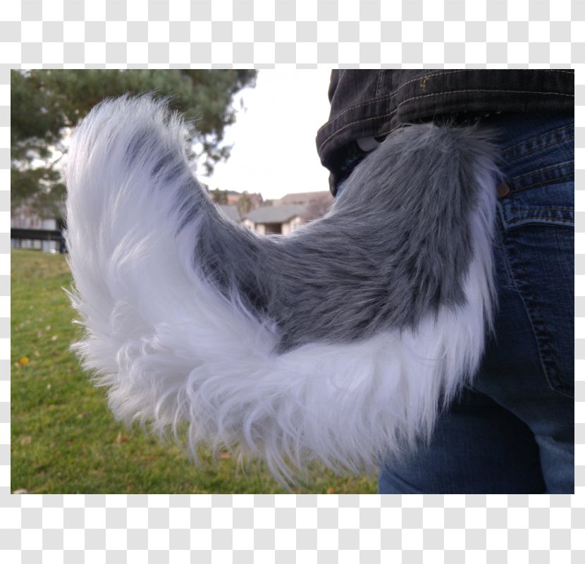 Siberian Husky Tail Cat Snout Fox - Raccoon - Double Transparent PNG