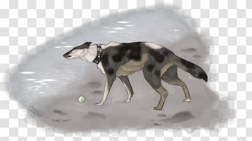 Dog Snout Fauna Wildlife - Like Mammal Transparent PNG