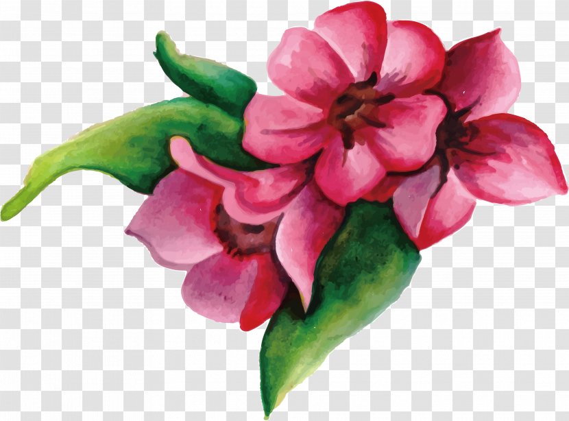 Flower Pink - Designer - Flowers Transparent PNG