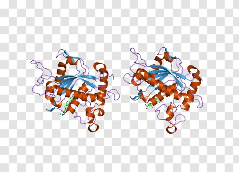 Thrombin Serine Protease Coagulation ADAM17 - Art - Body Jewelry Transparent PNG