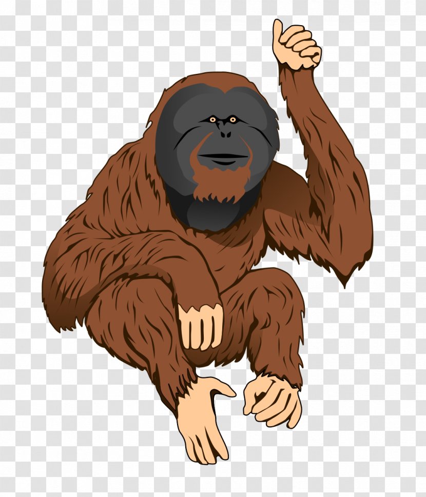 Bornean Orangutan Sumatran Ape Clip Art - Free Content - Cartoon Transparent PNG