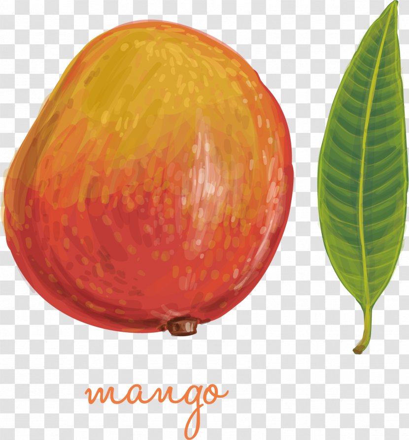 Leaf Mango - Juicy Transparent PNG