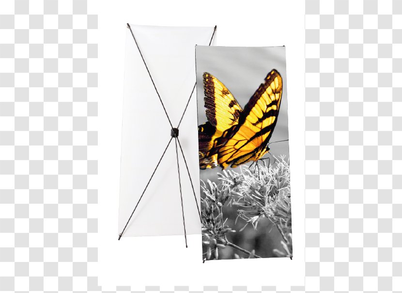 Monarch Butterfly The Legend Of Zelda: Skyward Sword Breath Wild Brush-footed Butterflies - Zelda Transparent PNG