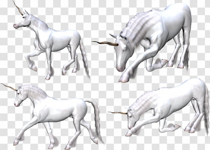 Unicorn Horn Mane - Head - Unicorns Transparent PNG