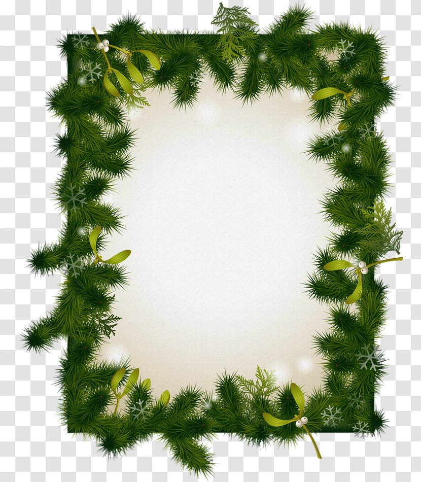 Vector Graphics Christmas Day Image Illustration Holiday - Pine - Border Psd Transparent PNG