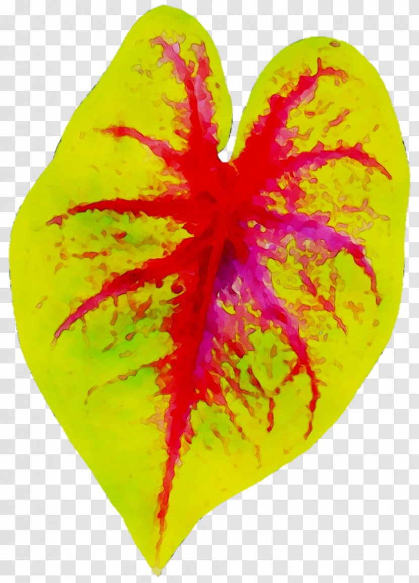 Leaf Heart M-095 - M095 Transparent PNG