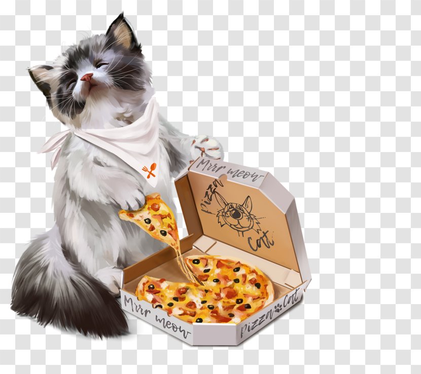 Cat Pizza Kitten Dog Eating - Animal Transparent PNG