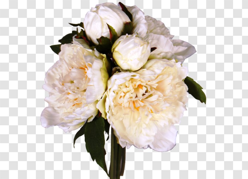 Cabbage Rose Garden Roses Floral Design Cut Flowers - Order - Three Bunnies Hugging Necklace Transparent PNG