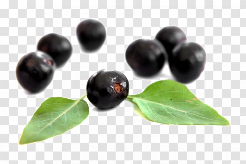 Dietary Supplement Berries Elderberry Antioxidant Superfood - Natural Foods Transparent PNG