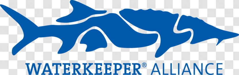 Waterkeeper Alliance Potomac Riverkeeper Organization Lake Ontario - Mountaintrue - Blue River Transparent PNG